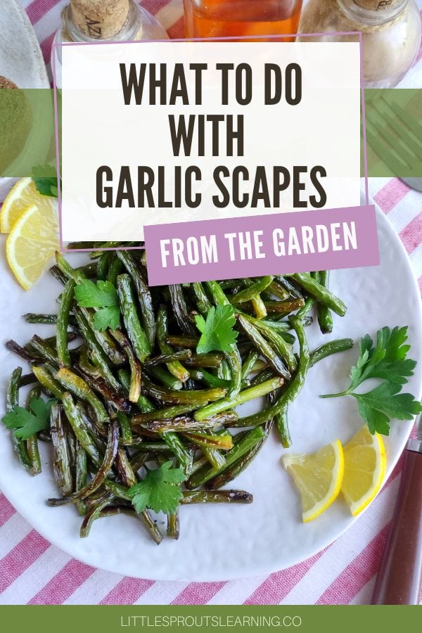 what to do with garlic scapes from the garden
