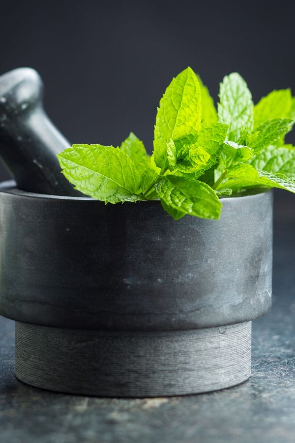 mint in a mortar