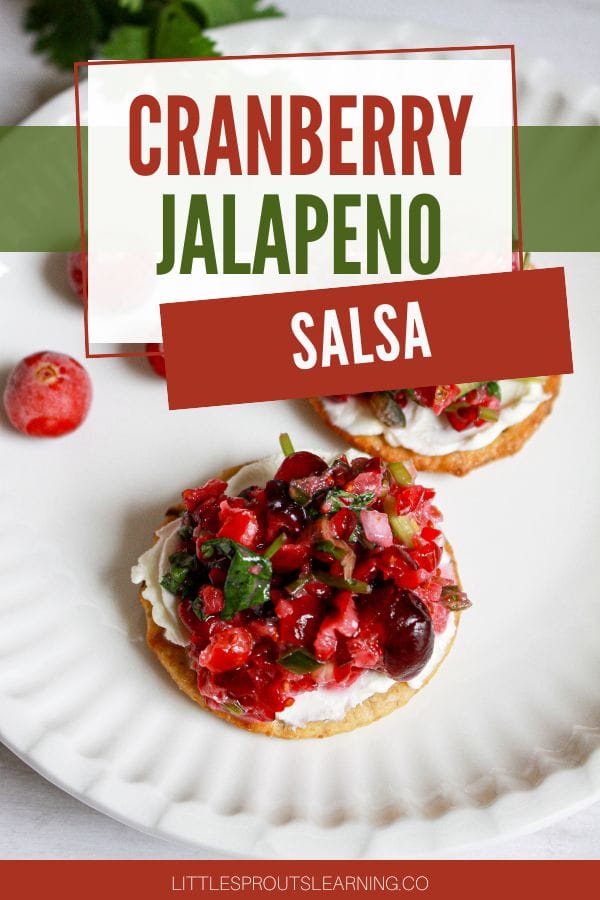 cranberry jalapeno salsa