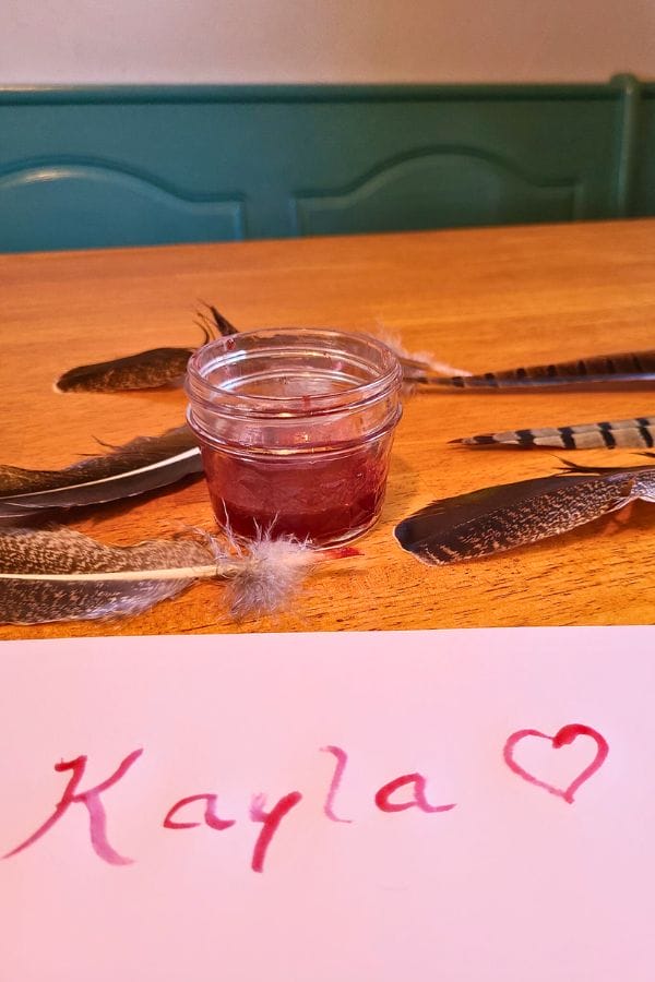 homemade quill pens and homemade blackberry ink