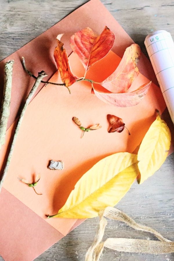 materials for nature wantds