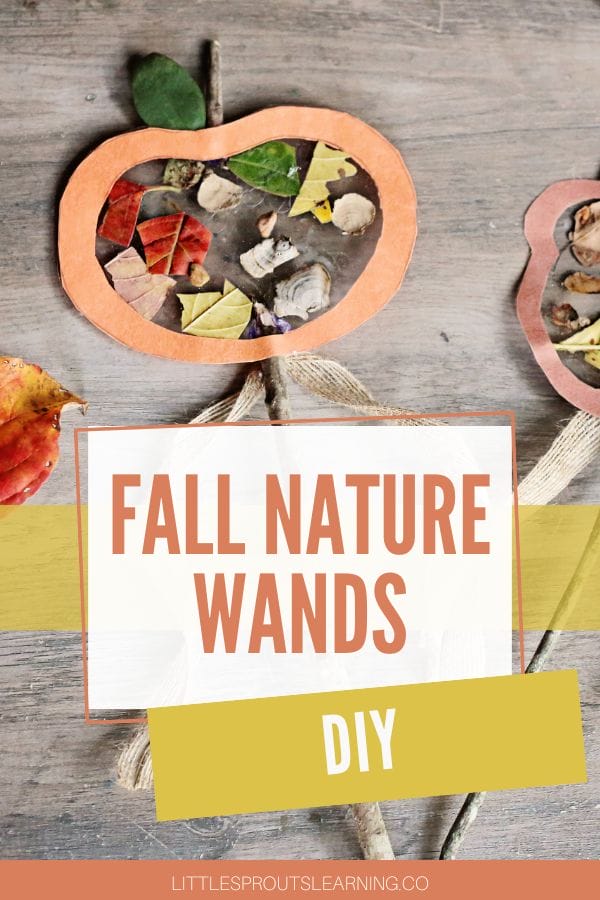 fall nature wands diy