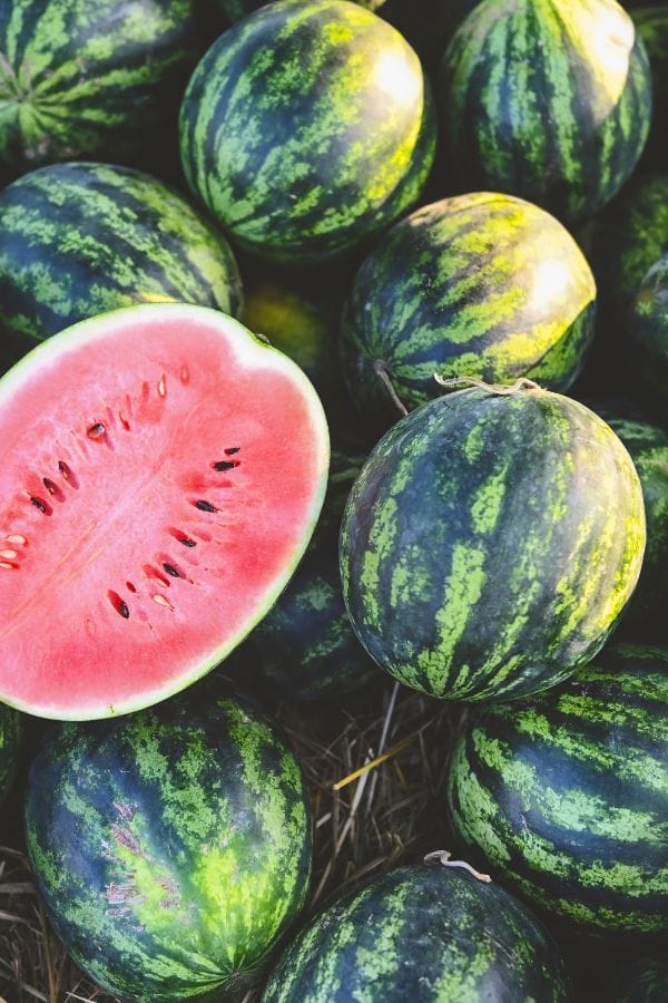 fresh watermelons in the garden