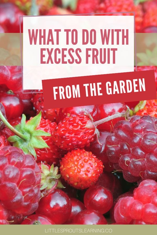What to Do with Excess Fruit from the Garden