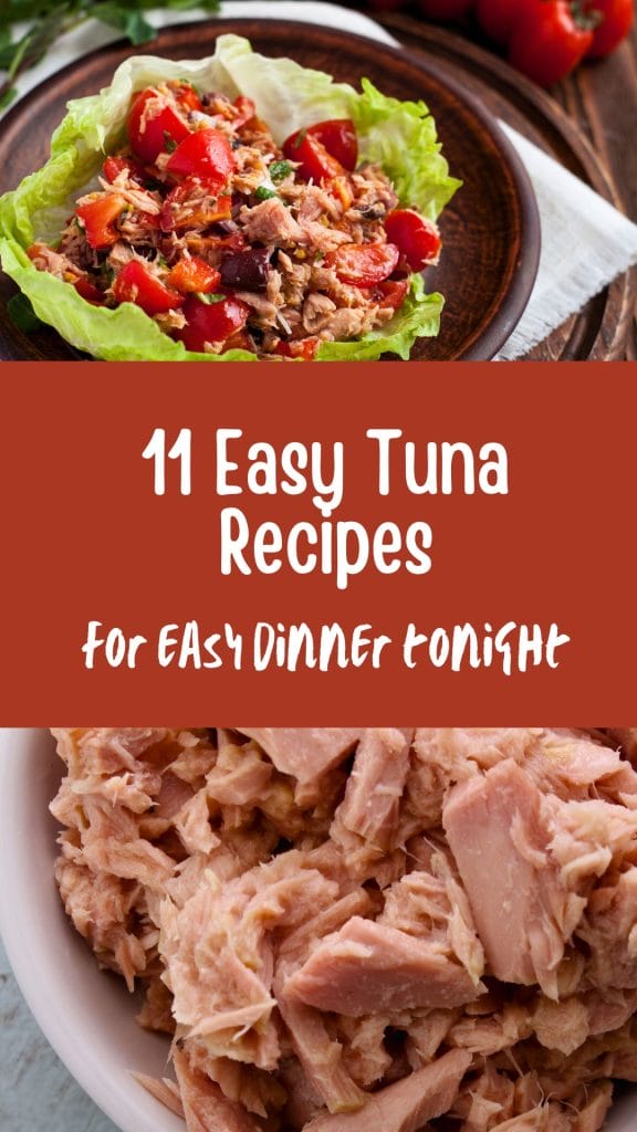11 easy tuna recipes for easy dinner tonight
