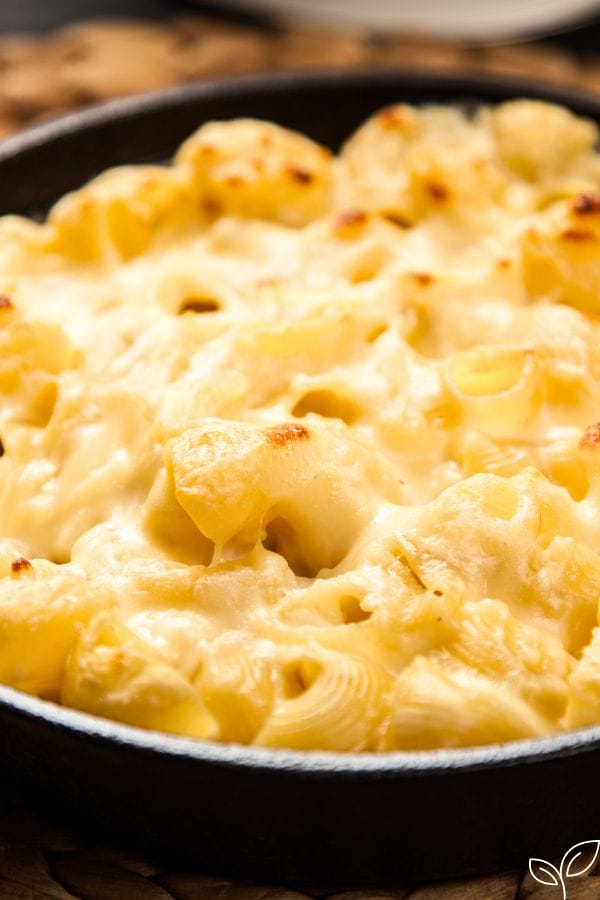 mac and cheese fresh from the oven