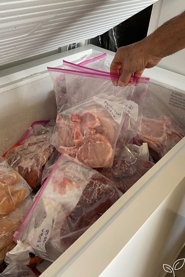 freezing individual portions of meat