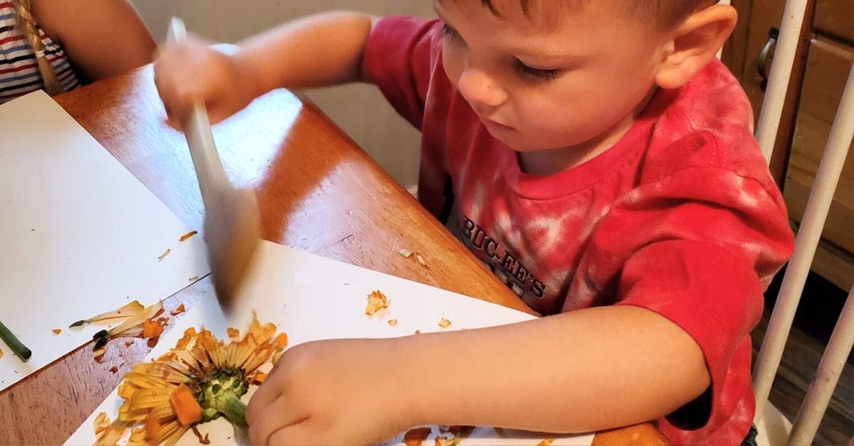 A child studying the inside of a flower