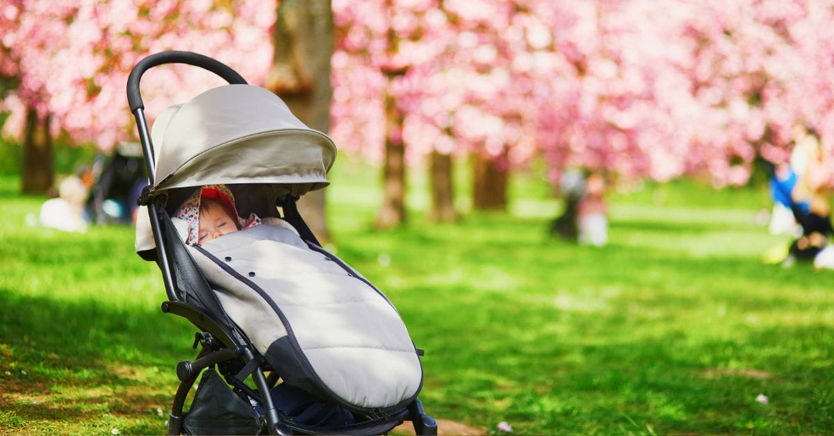 a baby in the stroller in the garden