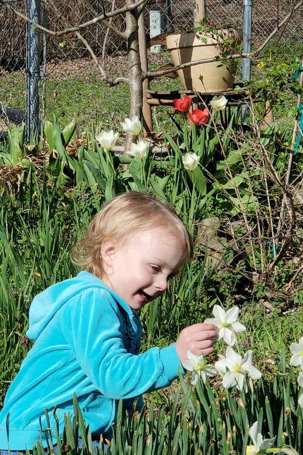 preschooler in the garden looking at flowers
