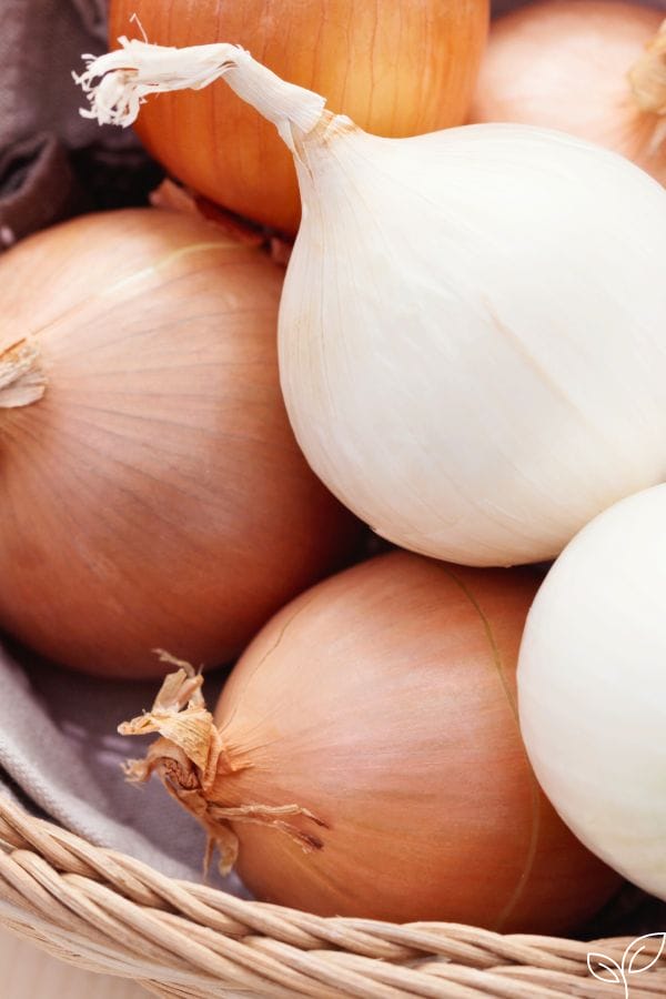 a pile of onions in a bowl