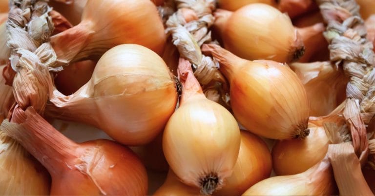a braid of yellow onions