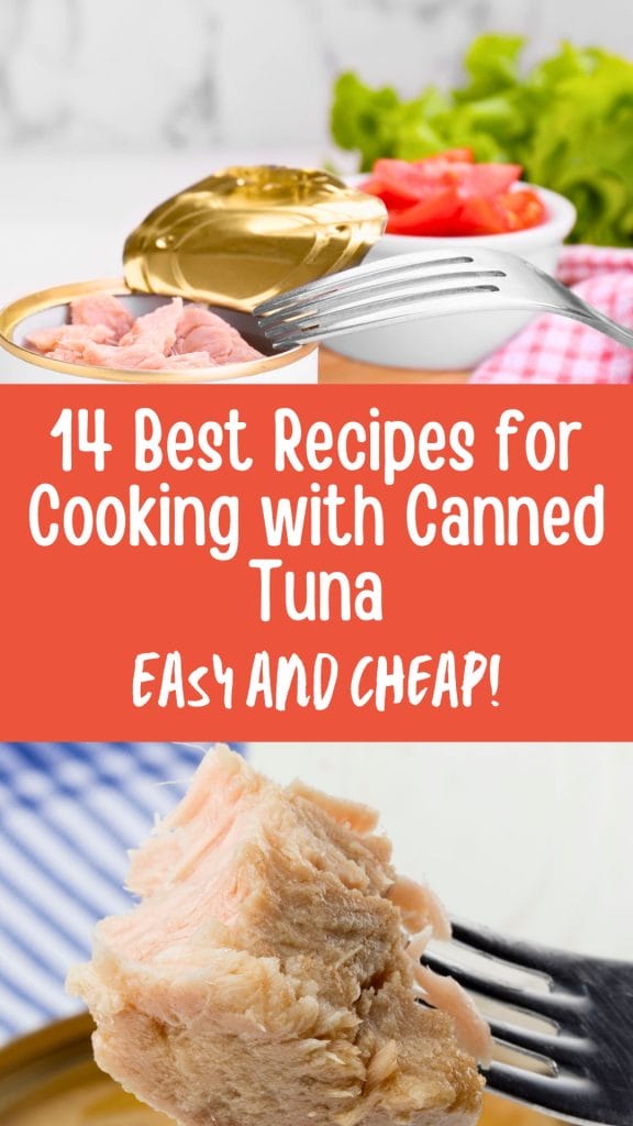 14 Best recipes for cooking with canned tuna. Easy and cheap!