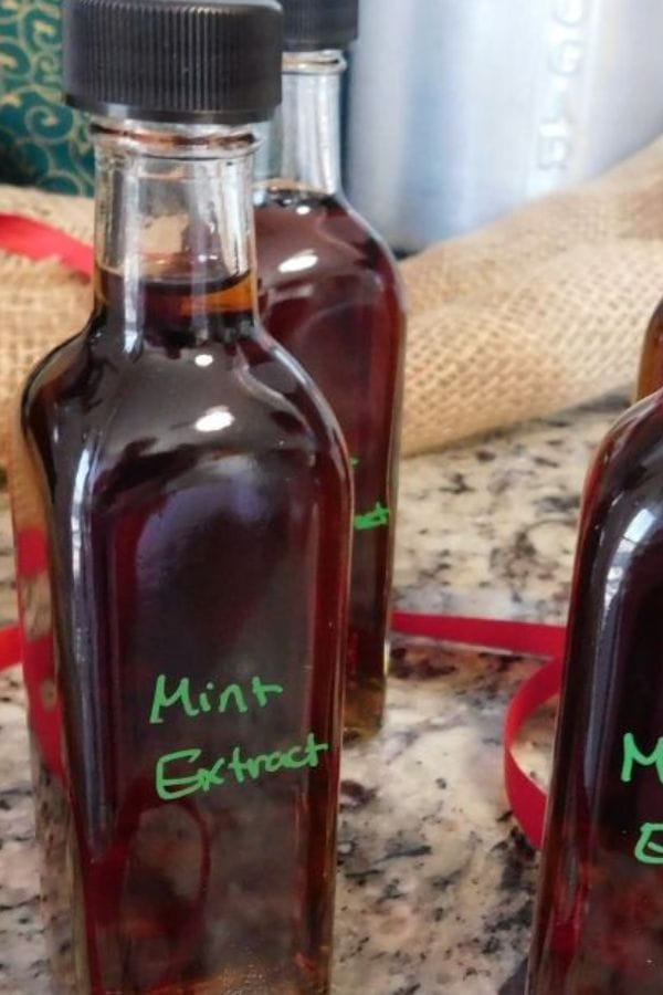 bottle of homemade mint extract on a counter