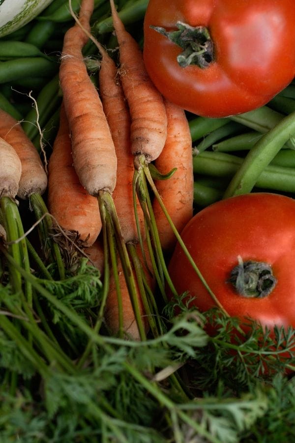 harvest from a vegetable garden