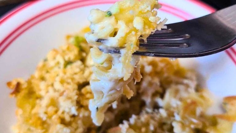 A fork holds a bite of creamy macaroni and cheese, reminiscent of a delightful broccoli tuna casserole, topped with a golden breadcrumb crust. The dish is served on a white plate with a red rim, and the background showcases the rest of the baked pasta.