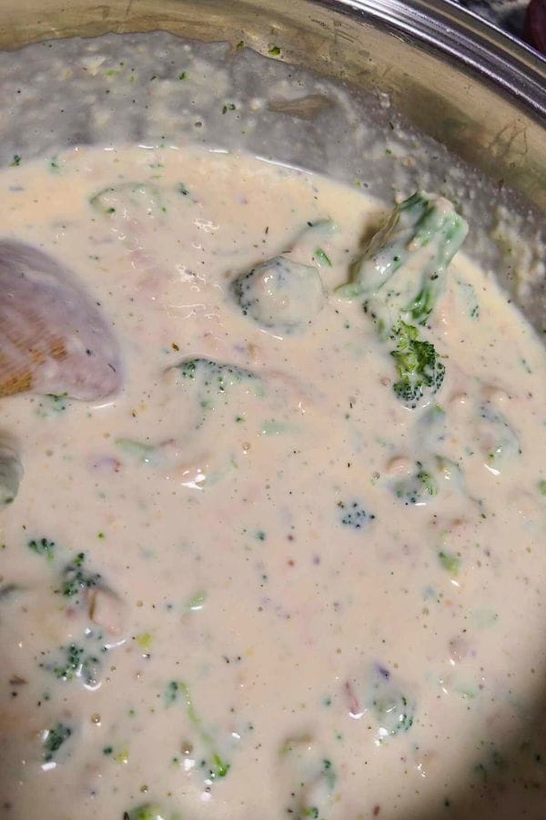 Close-up of a creamy broccoli and parmesan cheese sauce in a pot, with visible broccoli florets and a wooden spoon partially submerged in the mixture. The speckled appearance hints at herbs and seasonings, reminiscent of the homey flavors found in a broccoli tuna casserole.