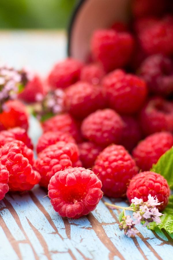 Close-up of fresh raspberries spilling from a container onto a blue wooden surface, reminiscent of the vibrant hues. Small pink flowers and green leaves are scattered among the berries, adding a touch of natural contrast.