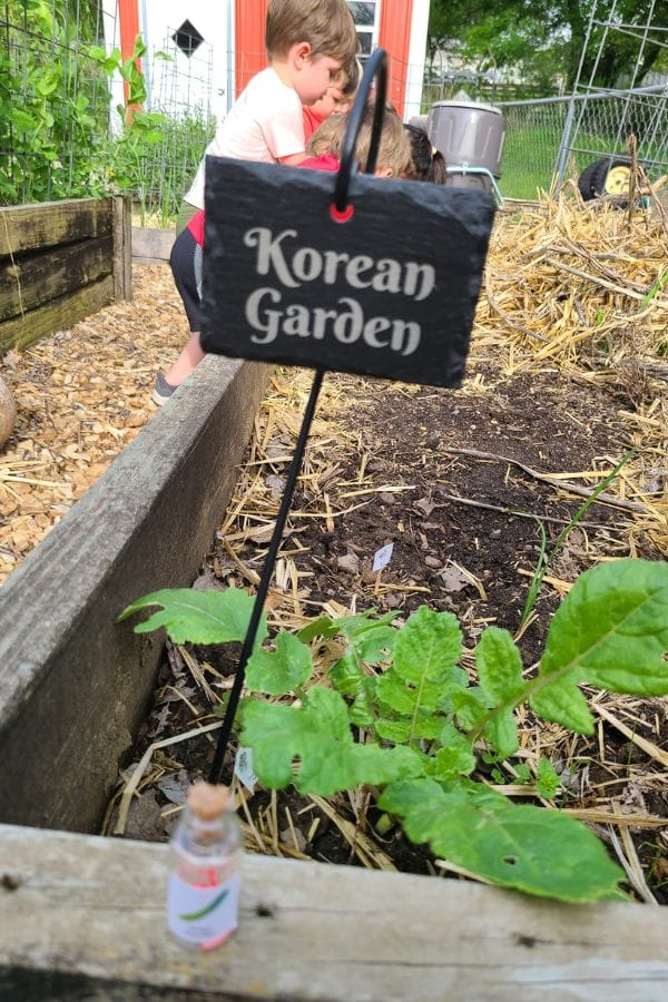 A small garden with a sign labeled "Korean Garden." Two children are in the background, and a glass jar is in the foreground near the plants.
