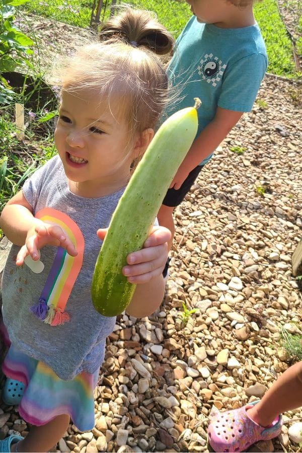 A young child holds a large cucumber while standing on a gravel path in a garden. Another child is partially visible in the background.