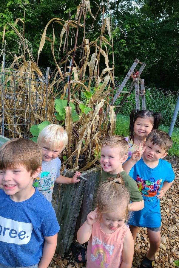 Six children stand smiling in front of a garden with tall, dried plants, bringing to life lesson plans on Native American cultures. A fence and trees form the backdrop, enhancing their educational journey.