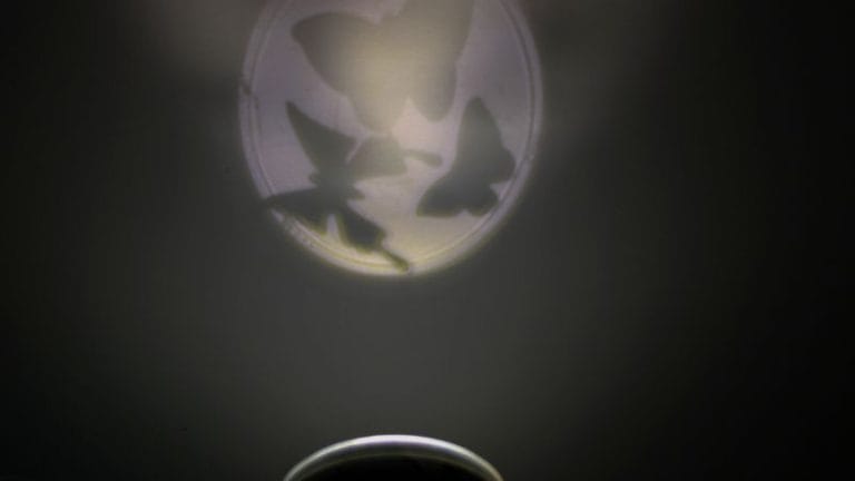 In a mesmerizing display, the shadows of three butterflies dance across a circular light spot on a dark background, reminiscent of DIY shadow puppets.