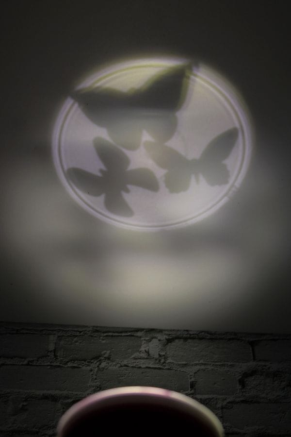 DIY Shadow Puppets come to life as the shadows of three butterflies dance on a wall, brought to life by the gentle glow of a circular light source.