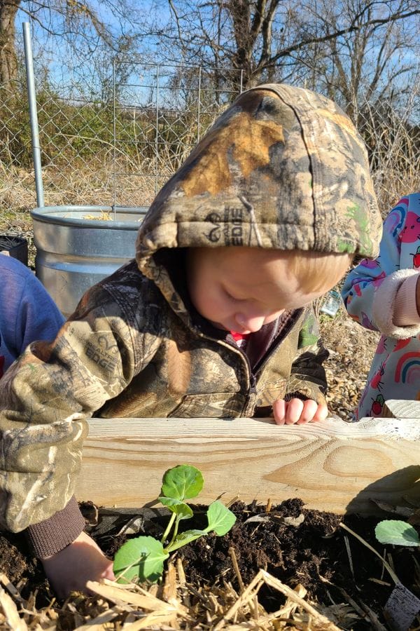 A child in a camouflage hoodie leans over a garden bed, nurturing small plants as part of lesson plans on Irish culture, with a metal barrel and trees framing the scene.
