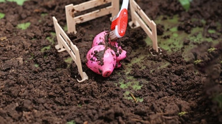 In a charming scene of farm animals dramatic play, a toy pig sits surrounded by small fences, being gently brushed with dirt in the garden.