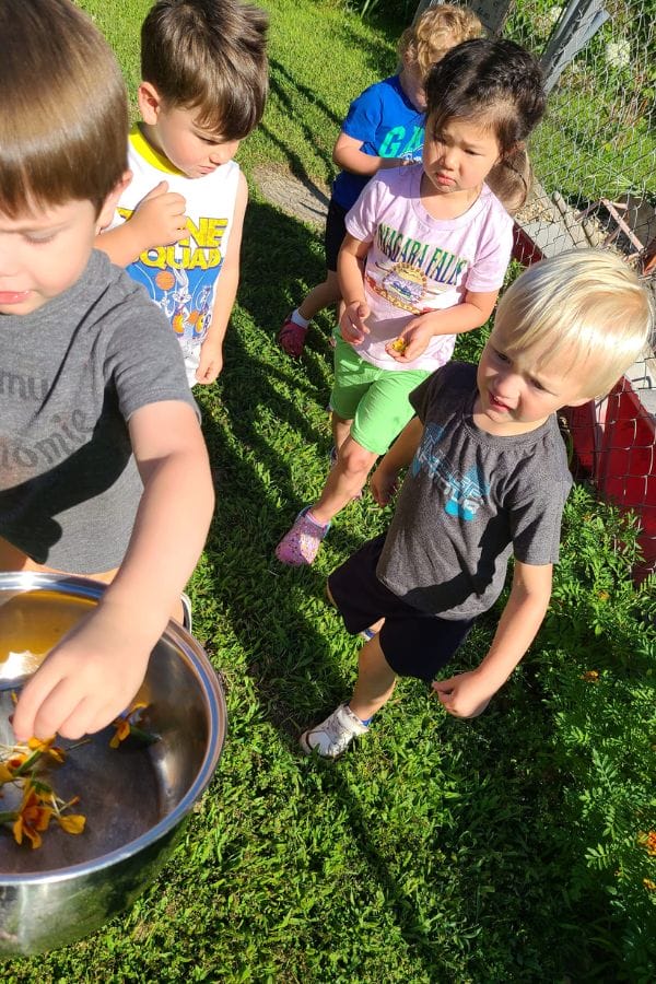 Children gather outside on the grass, one holding a bowl of picked flowers, ready to explore the art of creating natural dyes.