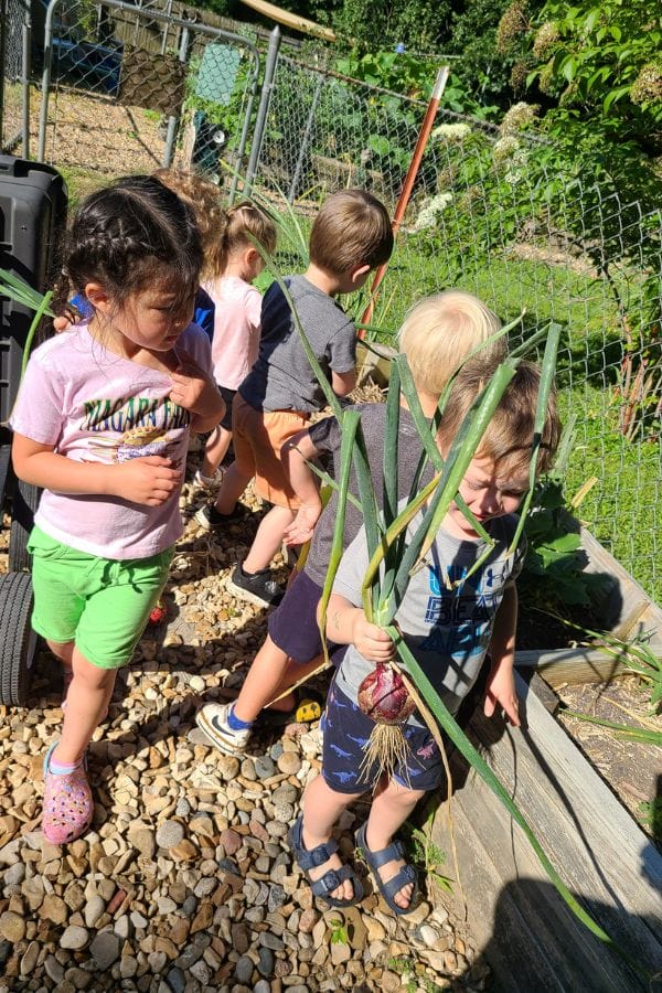 Children wandering through a garden, one clutching a large onion, their eyes wide with curiosity about natural dyes hidden within the vibrant petals and leaves surrounding them.