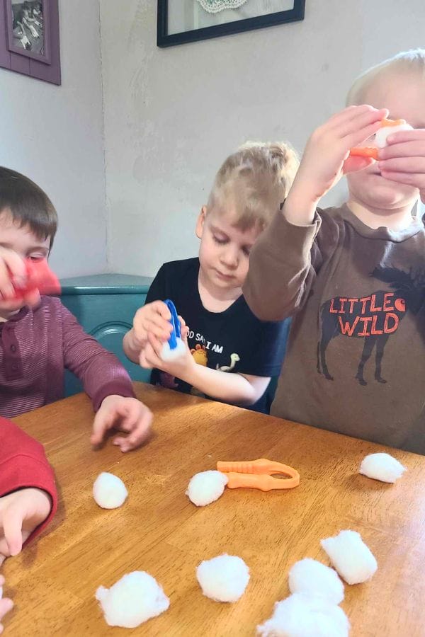 Three children seated at a table use plastic tools to manipulate cotton balls, engaging with hands-on lesson plans on winter. One child wears a shirt with "Little Wild" printed on it, adding to the playful learning atmosphere.