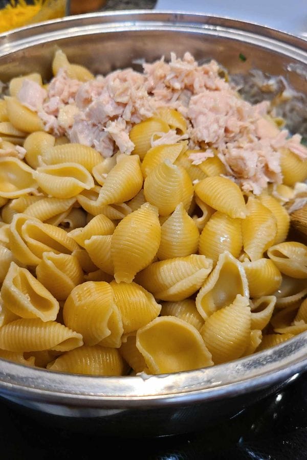 A bowl of cooked shell pasta topped with flaked salmon, enhanced by a hint of sour cream and onion for a delightful twist.