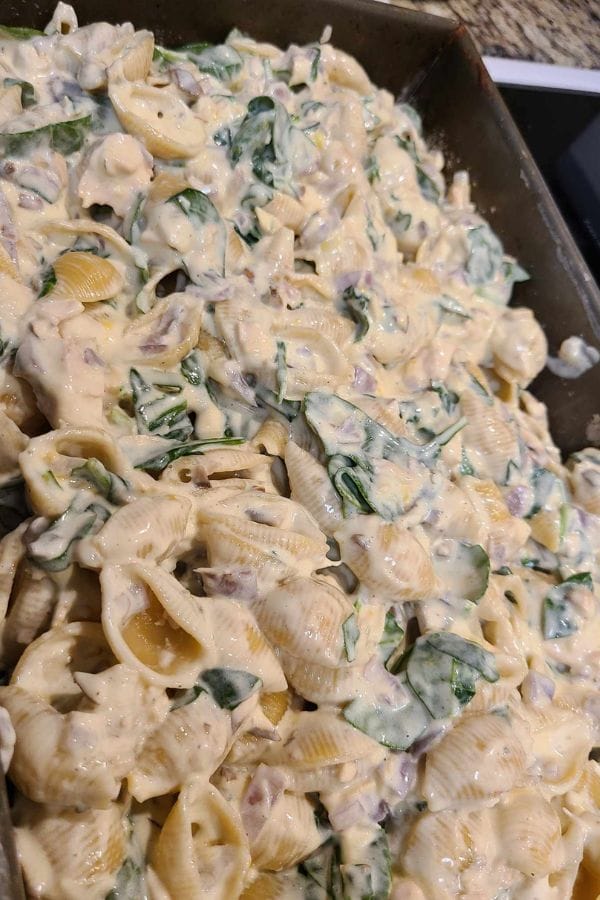Pasta shells mixed with a creamy sour cream and onion sauce, enhanced by spinach and diced red onions, all baked to perfection in a dish.