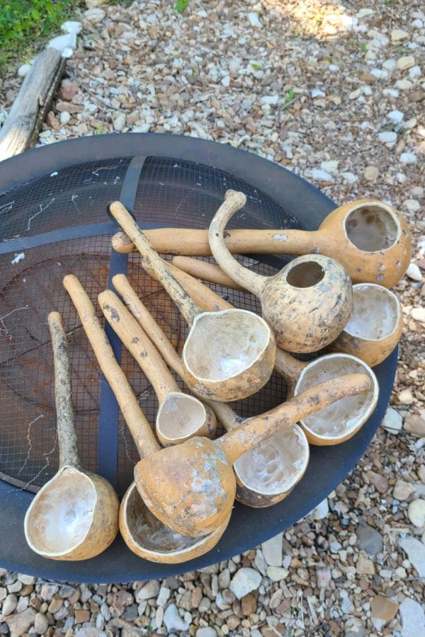 Several handmade ladles crafted from long handled dipper gourds are displayed on a round mesh surface outdoors, with gravel in the background.