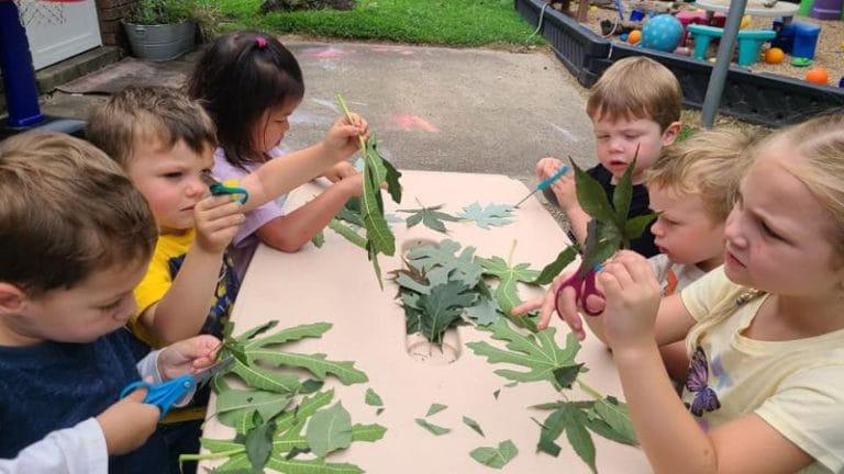 Children sit around a table, their hands busy with scissors, cutting out leaves for a leaf rubbing activity. This engaging outdoor project lets them explore nature creatively while enjoying the fresh air.