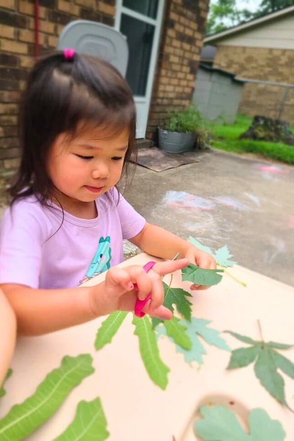 A young girl in a light purple shirt is sitting at a table outdoors, sorting green leaves for her leaf rubbing project on a sunny day.