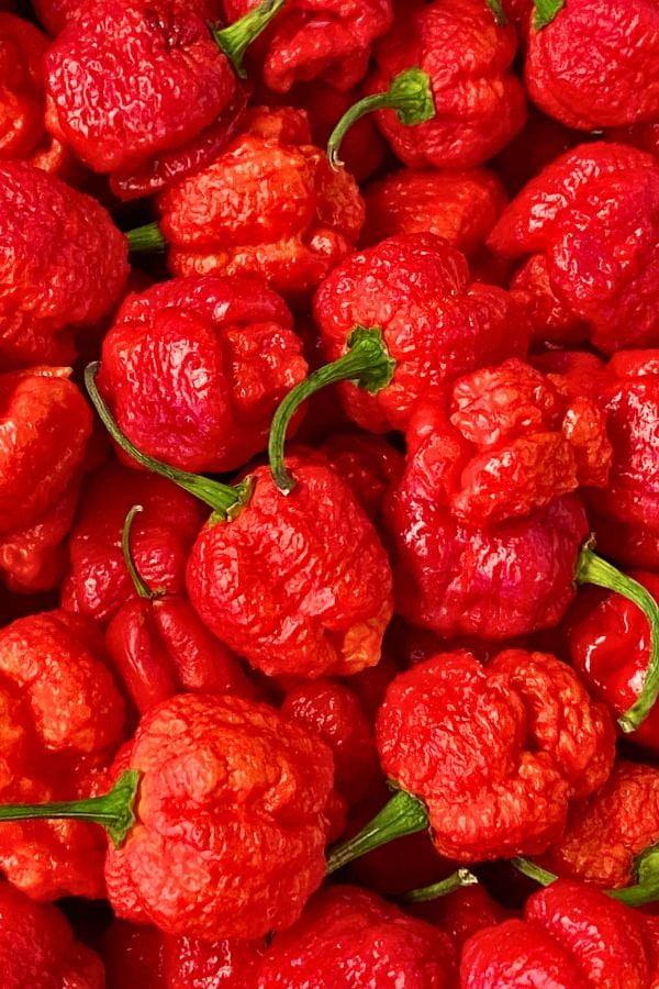 A vibrant pile of fiery red, wrinkled hot peppers with green stems showcases the legendary Carolina Reaper's intense heat and unique allure.