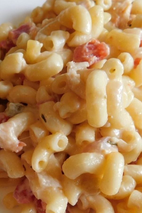 Close-up of a creamy macaroni salad with diced tomatoes and green peppers mixed in, perfect as a refreshing side for your dinner casserole recipes.