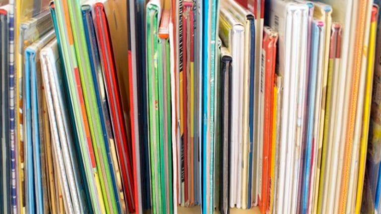 A varied collection of books with colorful spines, including daycare lesson plans on Pete the Cat, is artfully arranged vertically on a shelf.