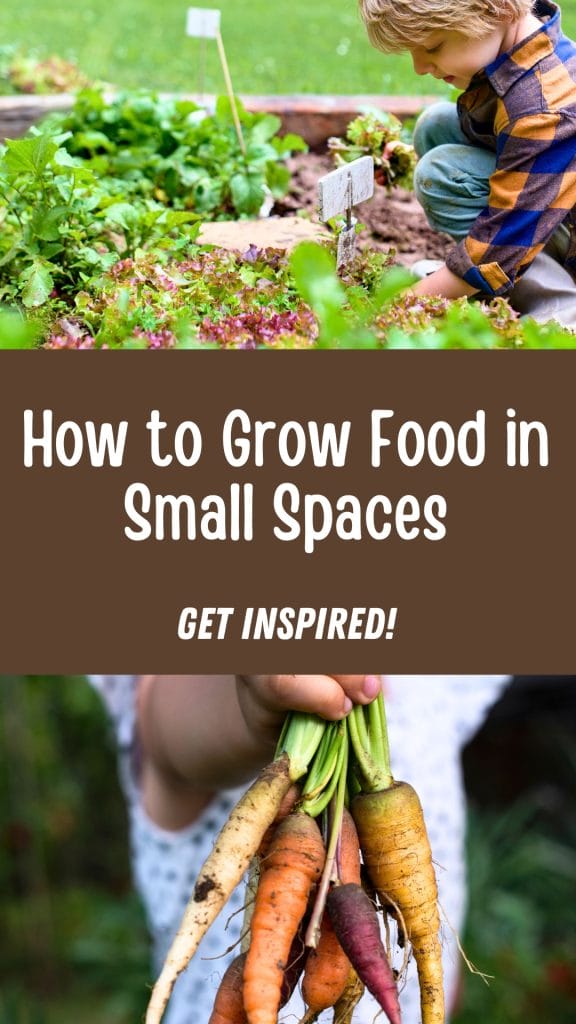 How to Grow Food in Small Spaces. Get Inspired!" reads the text, accompanied by a hand proudly displaying vibrant carrots—a testament to the magic of child gardening in tight quarters.