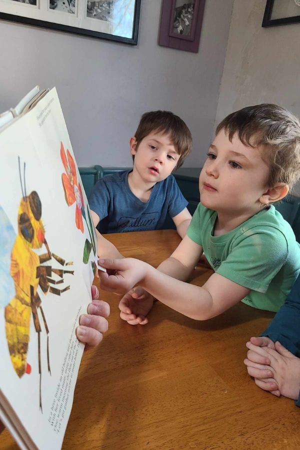 Two young boys sit at a wooden table, attentively looking at an illustrated book about a bee and a flower, as an adult guides them—perfect inspiration for lesson plans on bees.