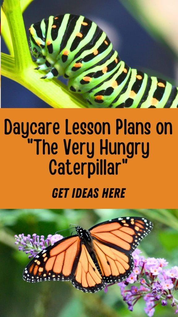 A Hungry Caterpillar on a stem and a butterfly on a flower frame text about daycare lesson plans for "The Very Hungry Caterpillar.
