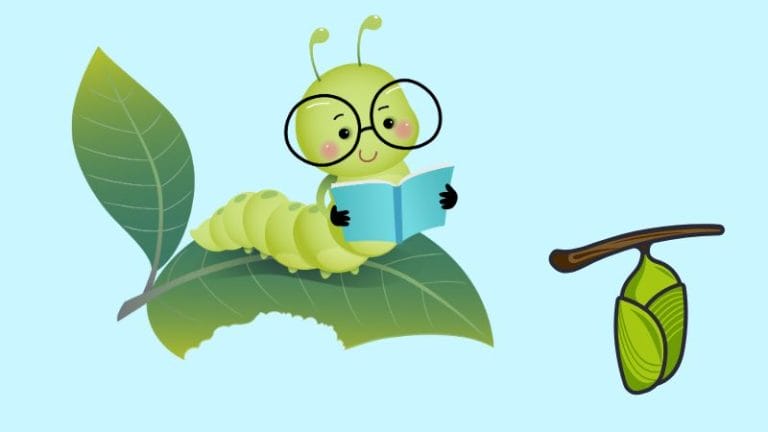 Cartoon Hungry Caterpillar with glasses reads a book on a leaf while a green chrysalis hangs from a branch nearby, all set against a light blue background.