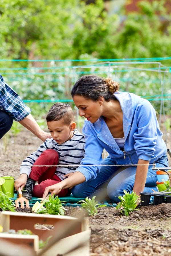 An adult and a child kneel and work together planting vegetables in a Home Daycare backyard garden on a sunny day.