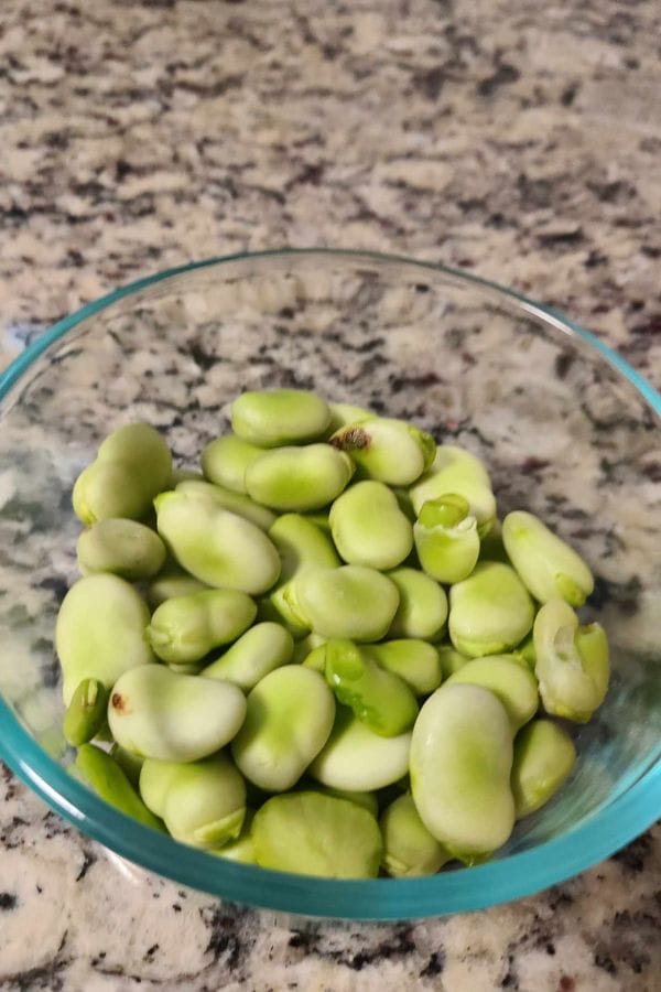 A glass bowl filled with green broad beans sits on a speckled granite countertop, offering inspiration for anyone interested in how to grow fava beans at home.