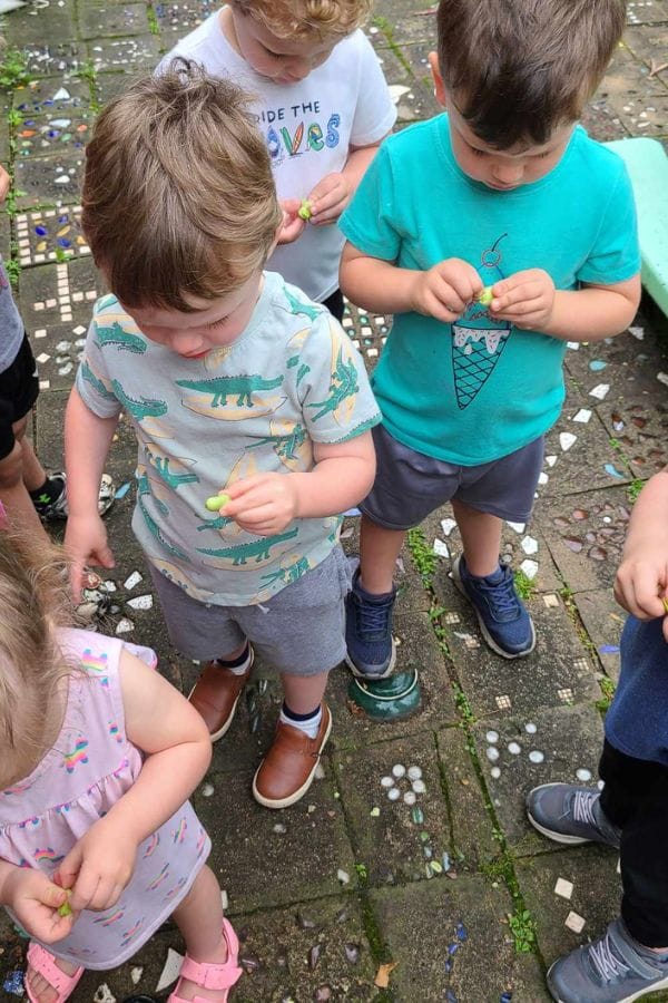 A group of young children stands closely together outside on a mosaic-tiled surface, examining small objects in their hands—perhaps learning how to grow fava beans through hands-on exploration.