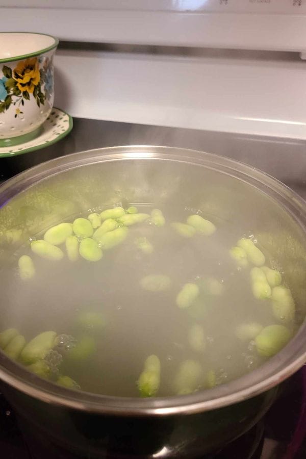 A pot of green edamame pods boils in cloudy water on a stovetop, with steam rising gently. A floral teacup sits in the background, echoing the calm of learning how to grow fava beans in your own kitchen garden.