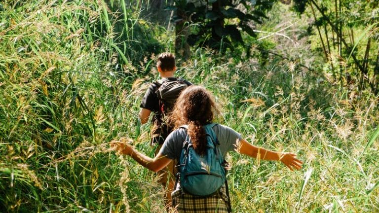 Two people with backpacks walk through tall grass on a narrow path in a lush, green outdoor setting, evoking the adventurous spirit of "Where the Wild Things Are.