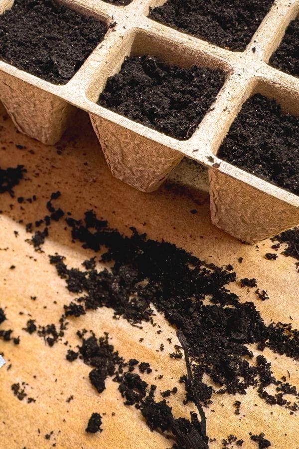 Close-up of a biodegradable seed tray filled with soil, ready for planting before your garden seeds go bad, with some loose soil scattered on a wooden surface below.